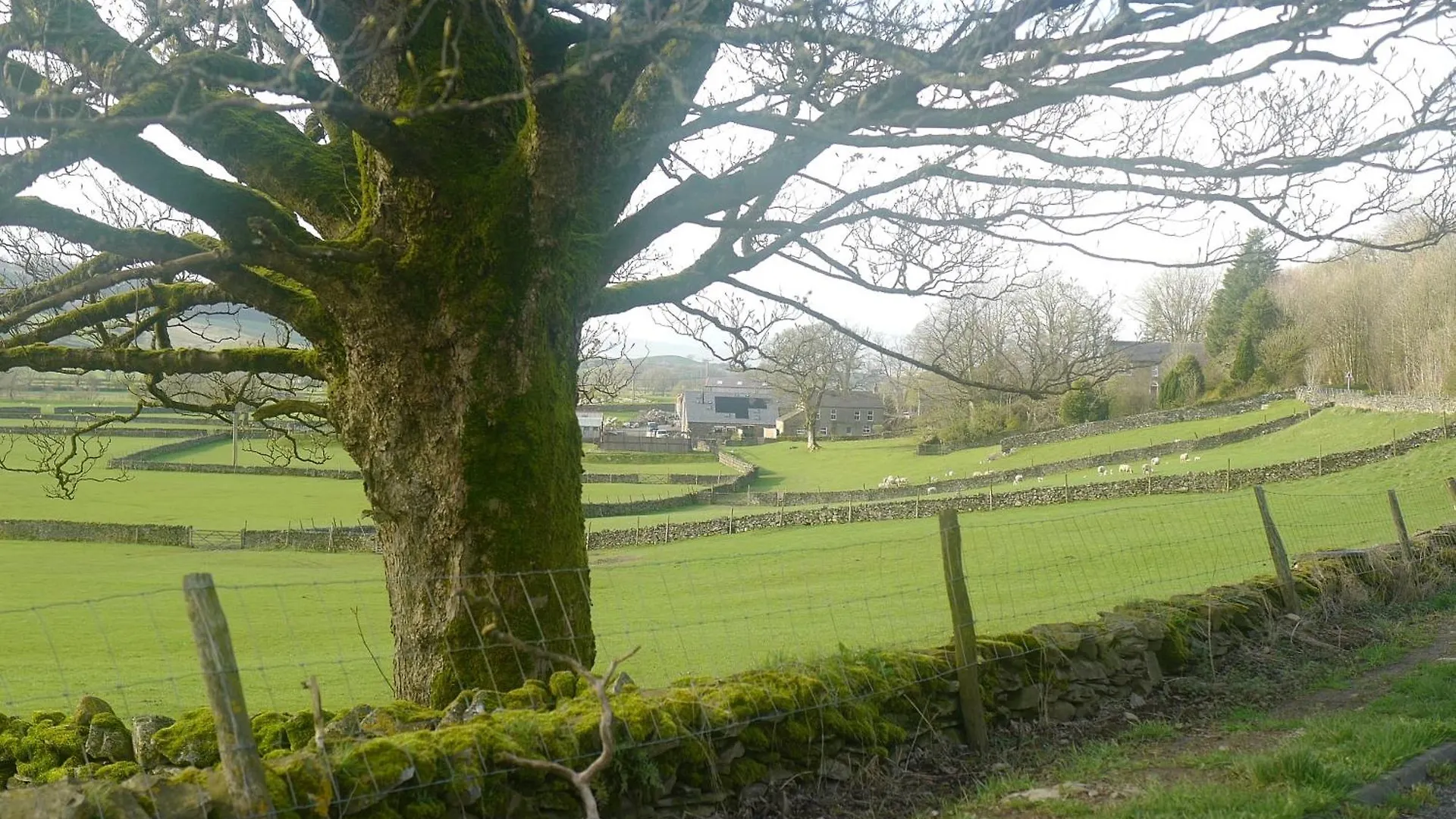 Ferienhaus Villa Meadow View Near Settle. Short Walk To Food Pub